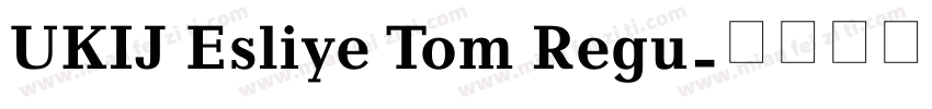 UKIJ Esliye Tom Regu字体转换